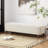 Teddy Upholstered Ottoman-1013865940