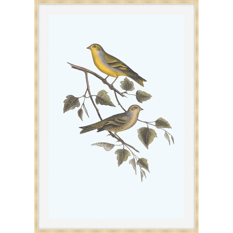 Nesting Navigators Blue 2 Print, 38.75" H x 27.75" W
