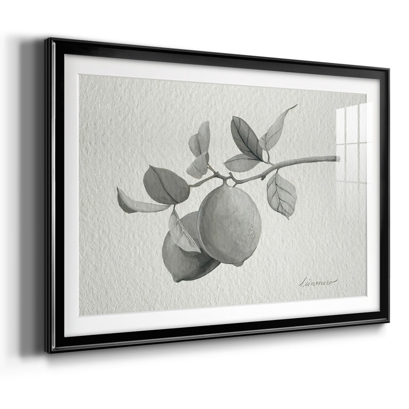 Limonero I, reproduction d'art encadrée, H 15 po x l 21 po x P 1,5 po, Noir