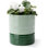 6" Self-watering Ceramic Planter