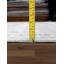 Oriental Area Rug in Gray