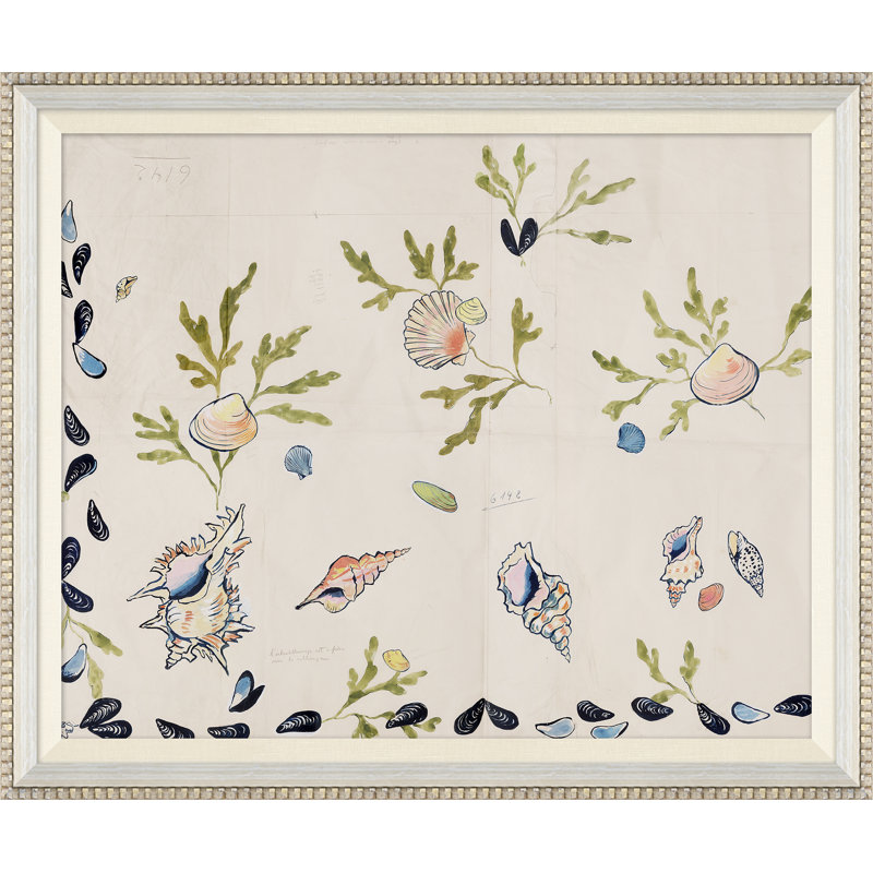 Shell 2 (Var. 2) Print by Paule Marrot