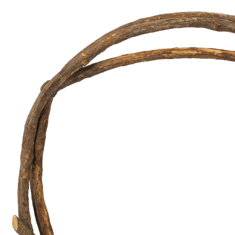 Tranca Vine Plant