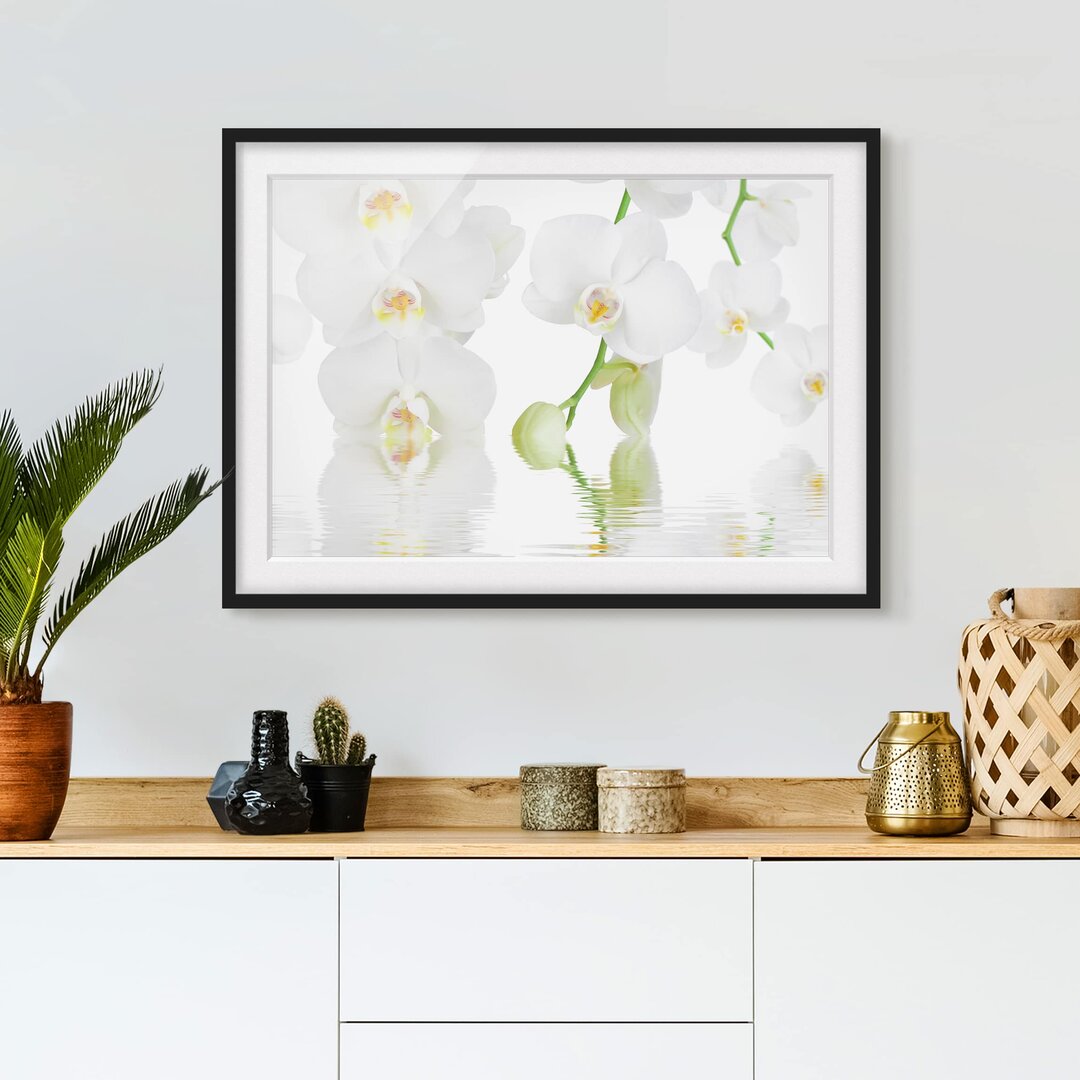 Gerahmtes Papierbild Wellness Orchidee Weiße Orchidee