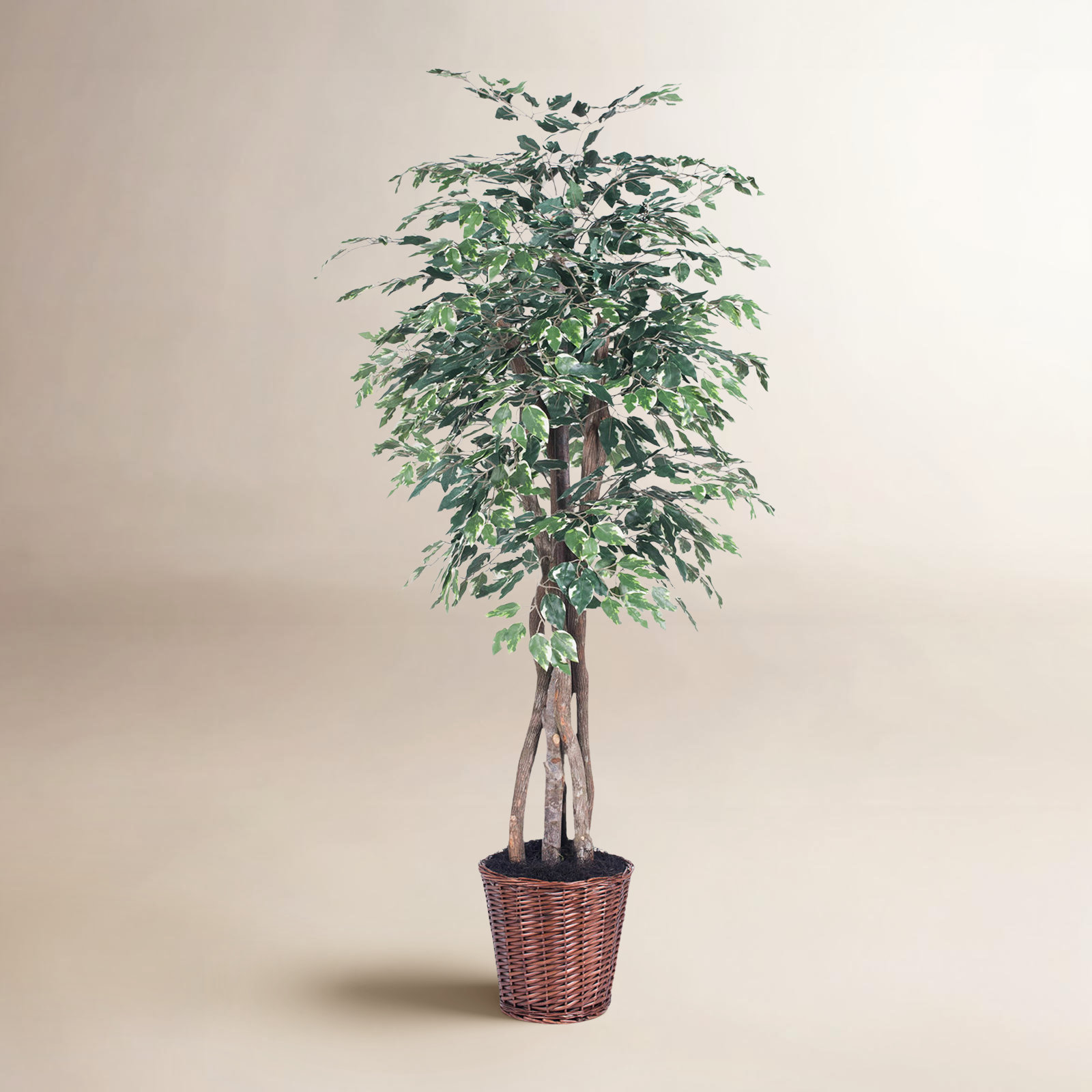 72'' Faux Tree in Wicker/Rattan Basket