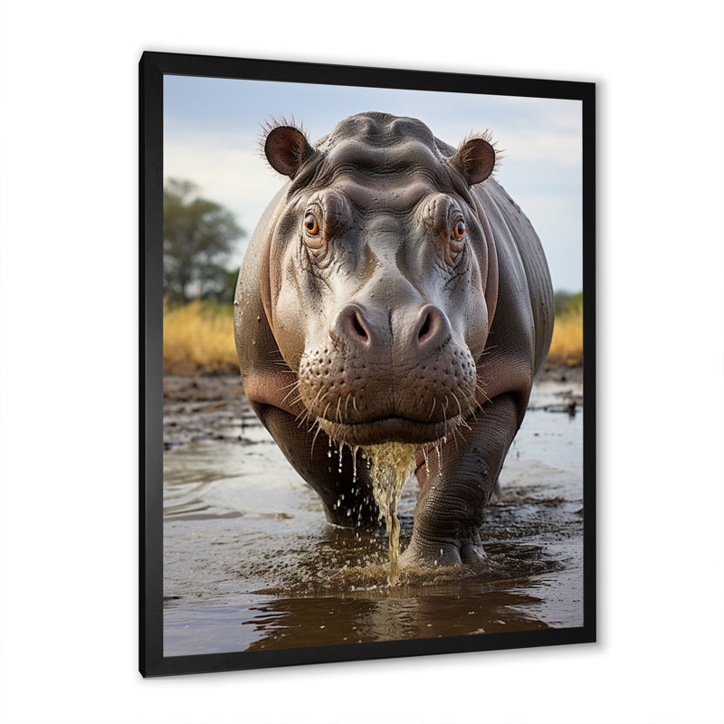 Kyriako hippopotame puissant hippopotame I - impression, Cadre photo noir, H 32 po x l 24 po x P 1 po