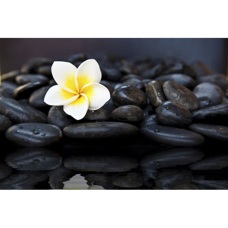 Landscape & Nature Vase Filler, Black