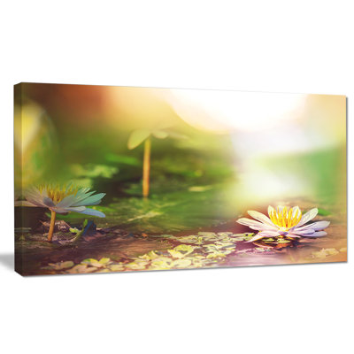 « lotus fleurs on green background », impression sur toile tendue