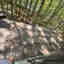 Photos des clients 1 de 1