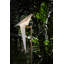 Perch LED Floor Lamp