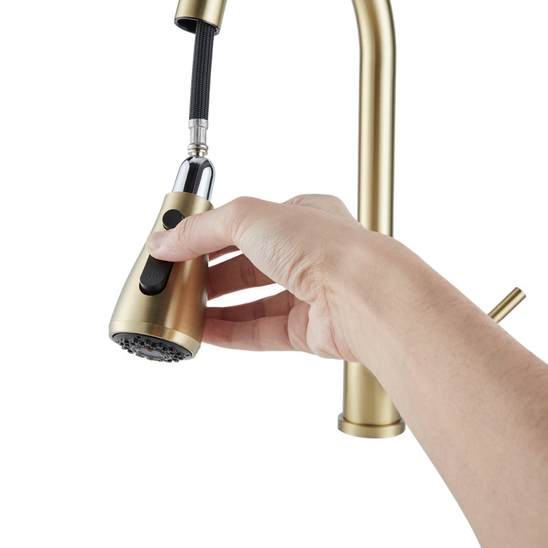 Breeins Kitchen Faucet