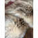 Thomas Collection® Italian Wolf Luxury Faux Fur Throw Blanket Assorted Sizes