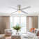Poppe 52'' Ceiling Fan with LED Lights