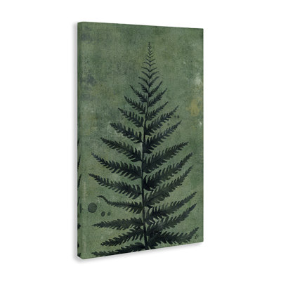 Art mural sur toile, "Rustic Fern Impression" par Lydia Orange br-361_CN