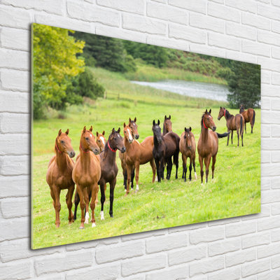 Herd Of Horses In The Meadow - No Frame Print on Glass