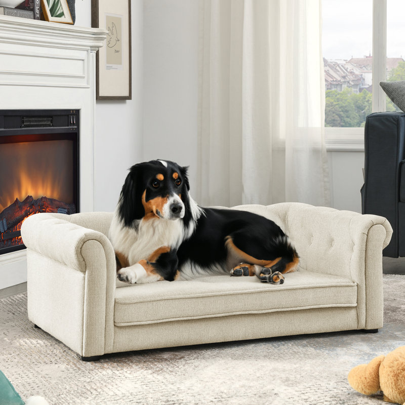 Lit pour chien Modern
