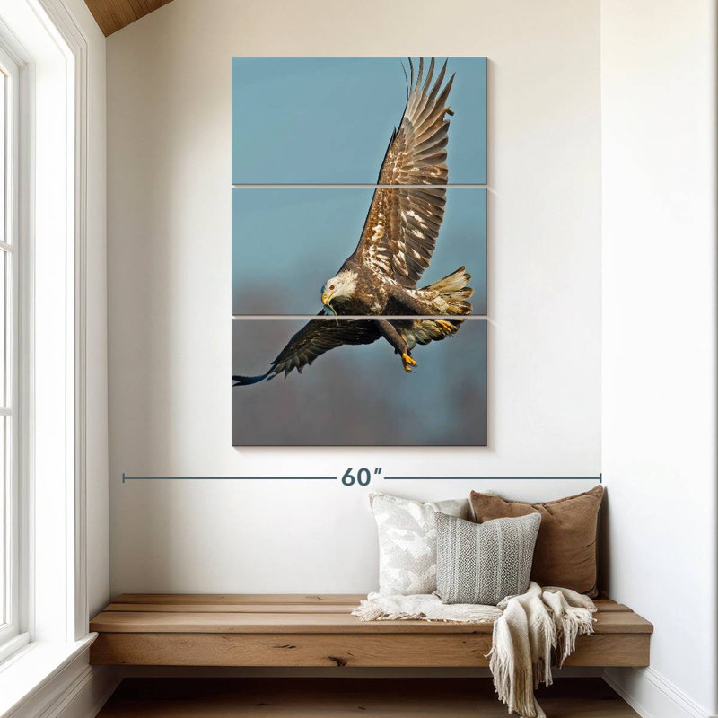 Aigle à tête blanche Brampt, H 50 po x l 32 po