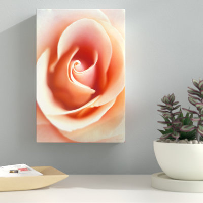 " Peach Rose " by Kathy Yates