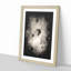 Taking a Hot Air Balloon Ride - Framed Print-56742318-56742330