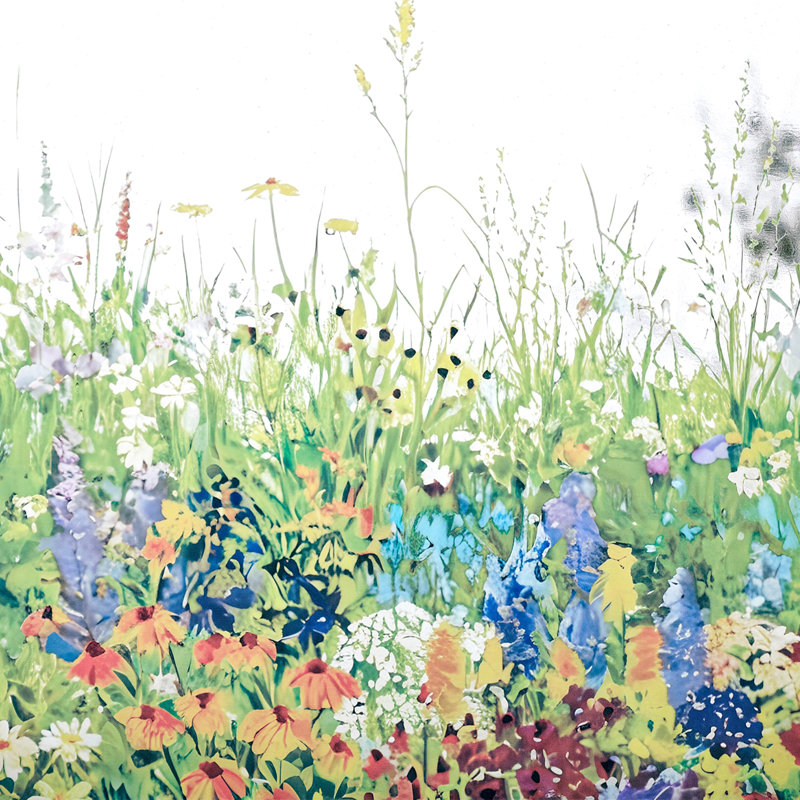 Vallée sauvage