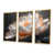 Toile avec cadre flottant or