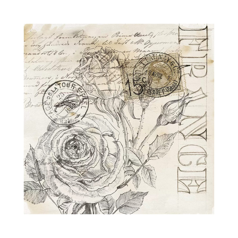 Rose Romance III by Jennifer Paxton Parker - Wrapped Canvas Print, 30.48 cm H x 30.48 cm W