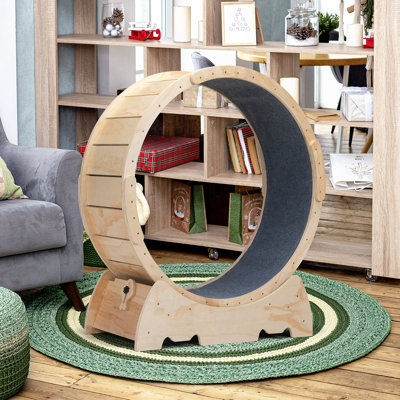 Grande roue de course pour chats d'intérieur