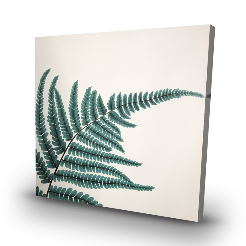 Fern - 32"x32" art on canvas