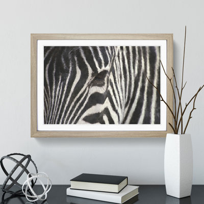 Zebra Vol.4 - Picture Frame Painting