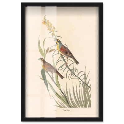 «Tallgrass pair shadowbox print», art botanique par Art Remedy