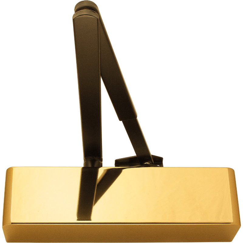 Amariya Size 2-4 Door Closer, Polished Brass