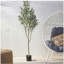 ARBRE D'OLIVE ARTIFIQUE 180CM-1917951744