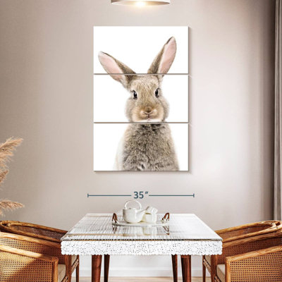 Petit lapin Brampt
