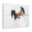 «Cute Papillon Bath», art mural-170590903