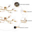 Momeyer Chandelier