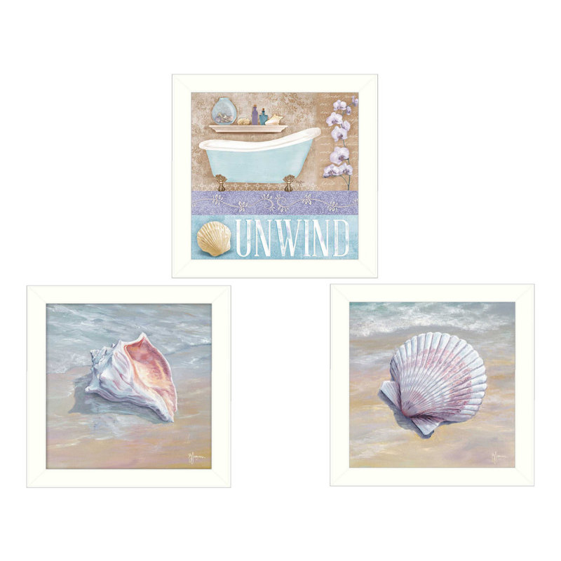 «Shells II», ensemble de 3 vignettes encadrées pour la décoration murale par Mollie B. and G. Janisse