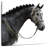 Brampt Gray Spanish Horse