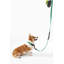 Laisse ajustable mains libres et collier 6-en-1 avec lampe DEL Luna 8 pi-112307730