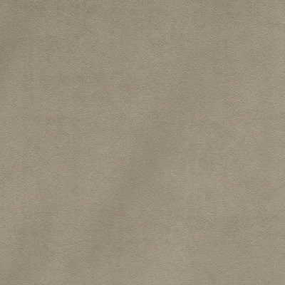 Empress Performance Velvet Fabric