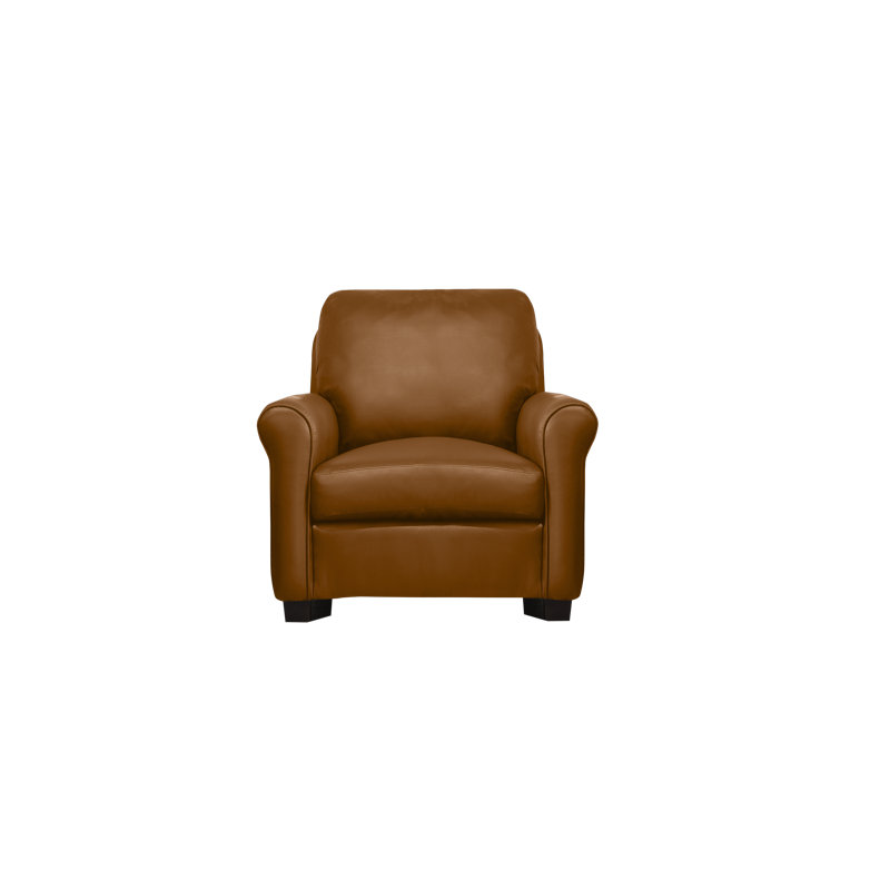 Fauteuil Ambrie, Cuir véritable brun moyen