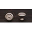 CK Series 1 1/4" Diameter Mushroom Knob-12829493