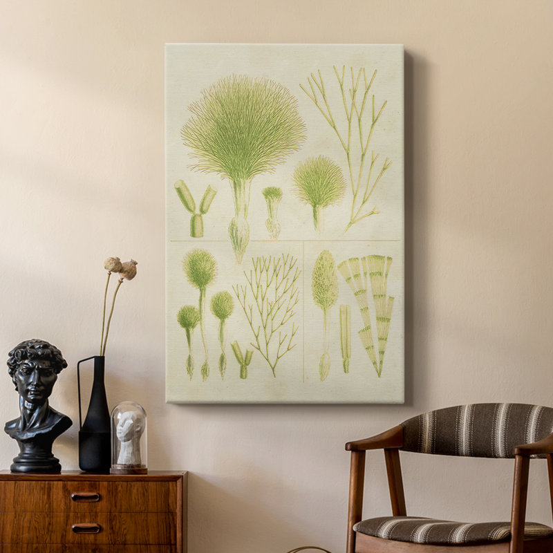 Herbe de mer rétro III - galerie Cavas sur mesure, H 27 po x l 18 po
