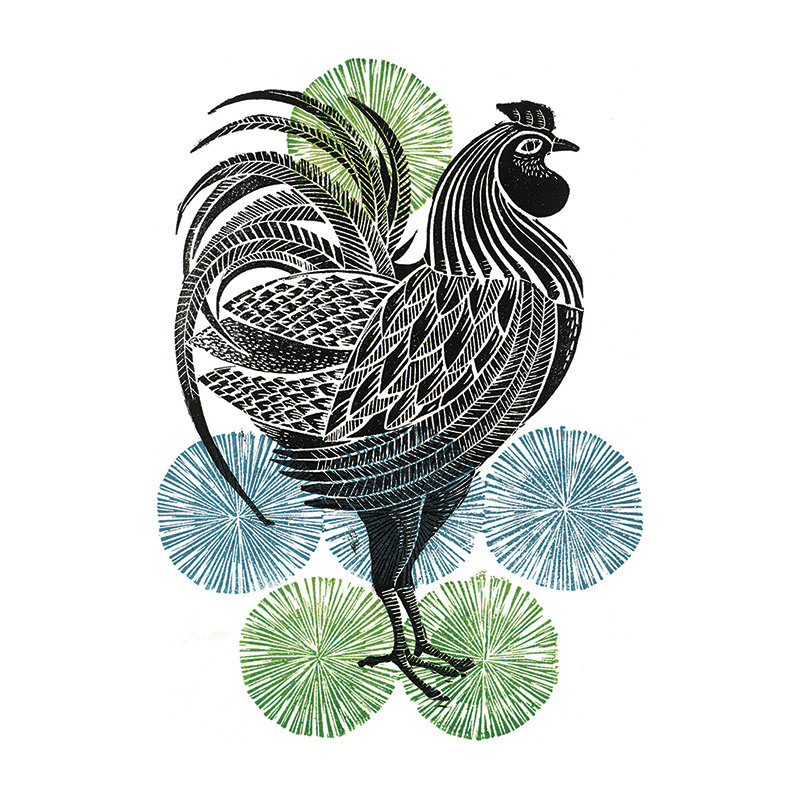 Cockerel by Amanda Colville - No Frame Print, Canvas