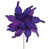 Purple selected