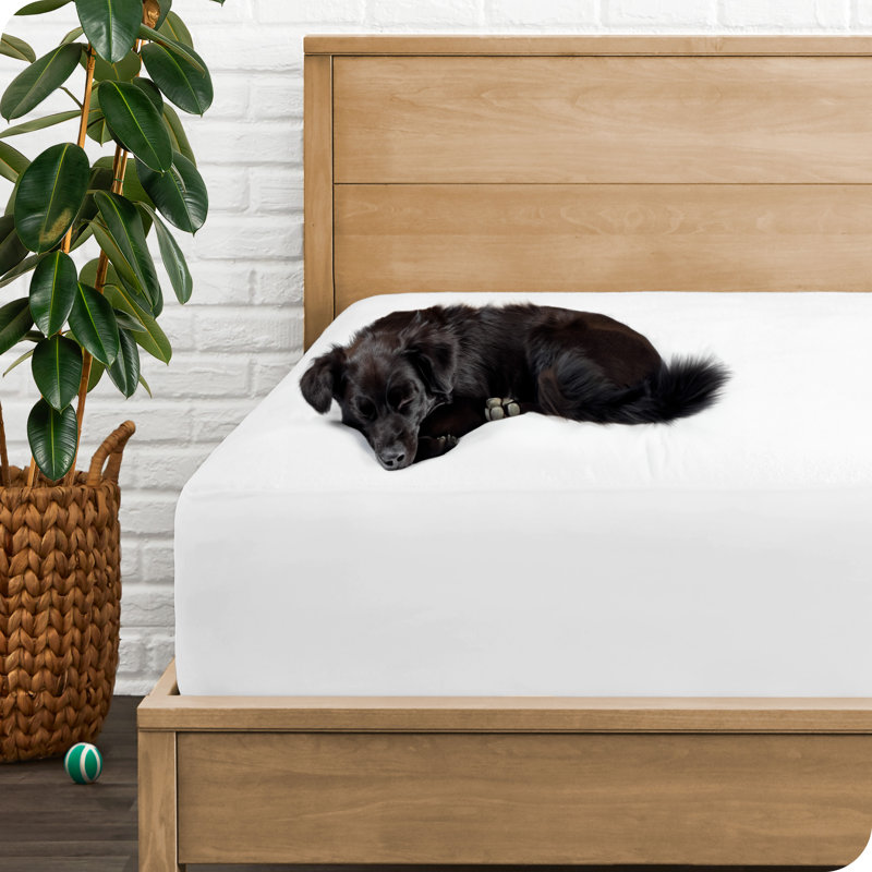 White Waterproof Cotton Terry Crib Mattress Protector