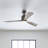 Ridley 52'' Ceiling Fan with LED Lights