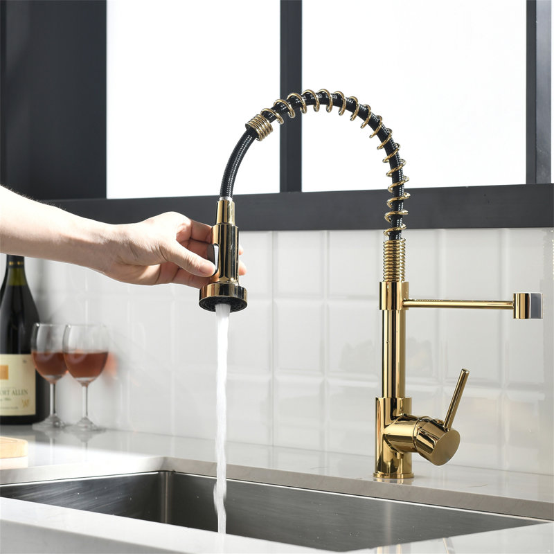 Robinet de cuisine avec douchette rétractable, robinet d'évier de cuisine à poignée simple