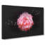 Lone Pink Carnation - Wrapped Canvas-56648426