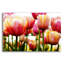 «Tulips» par Photoinc Studio, art mural en verre acrylique, 24 po x 16 po-1576245449
