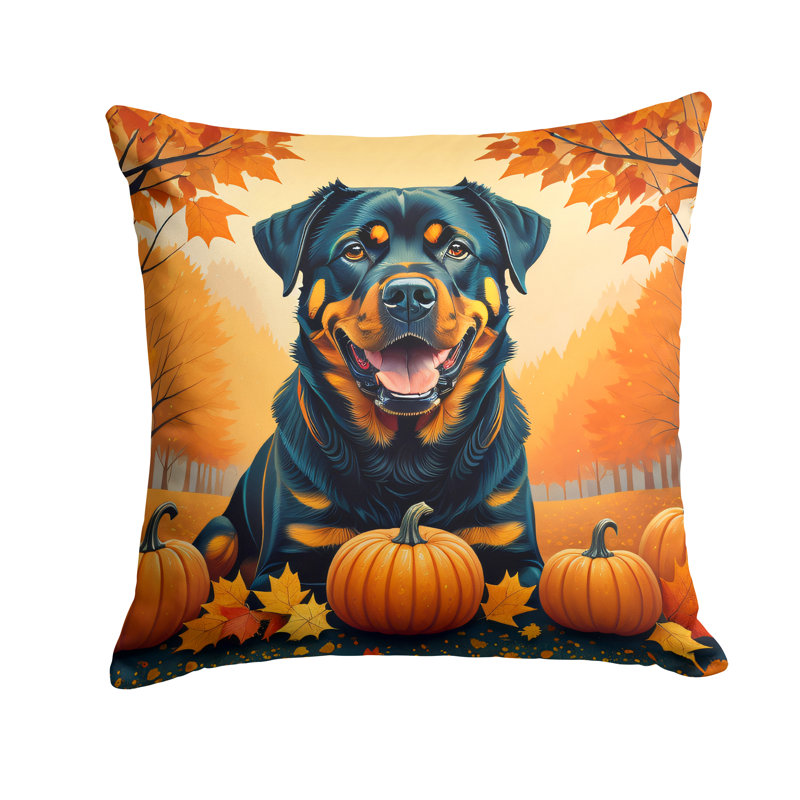Other/No Pattern Outdoor Throw Pillow, 14" x 14"